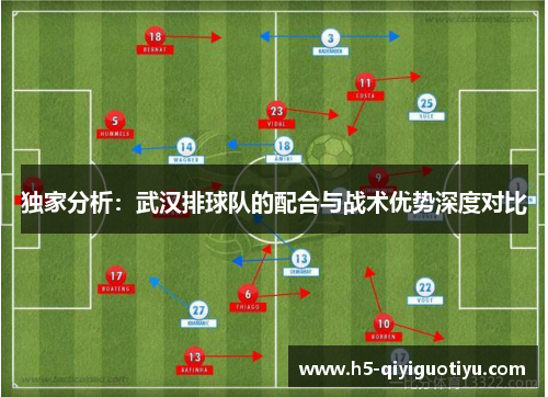 独家分析：武汉排球队的配合与战术优势深度对比