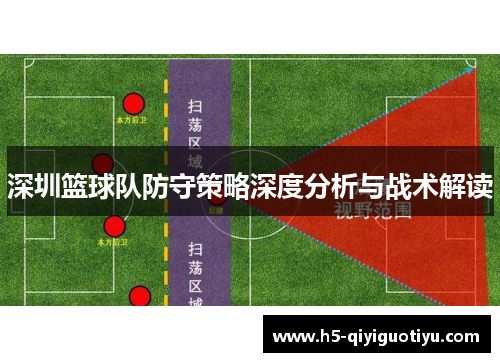 深圳篮球队防守策略深度分析与战术解读