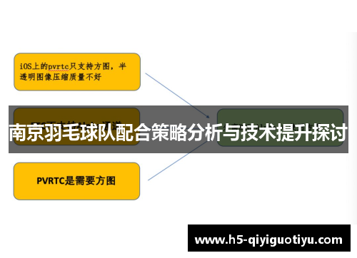 南京羽毛球队配合策略分析与技术提升探讨