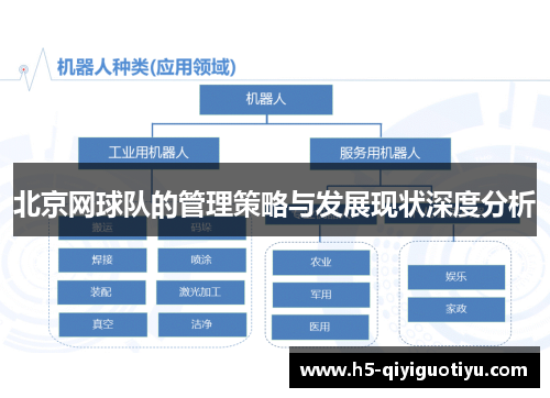 北京网球队的管理策略与发展现状深度分析