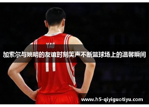 加索尔与姚明的友谊时刻笑声不断篮球场上的温馨瞬间