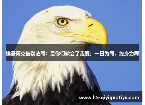 埃基蒂克告别法鹰：是你们教会了我爱；一日为鹰，终身为鹰